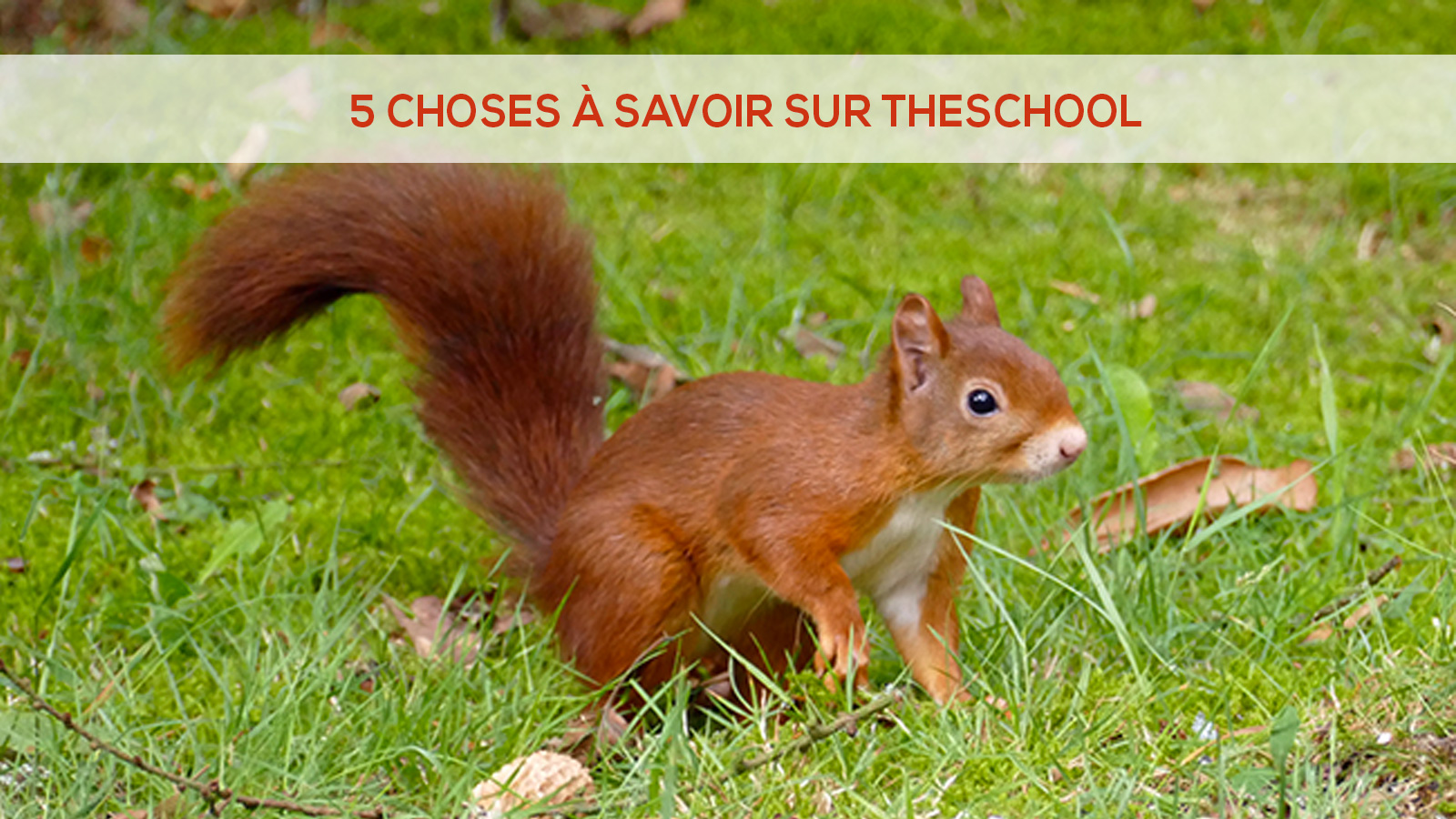 5 Choses à savoir sur TheSchool